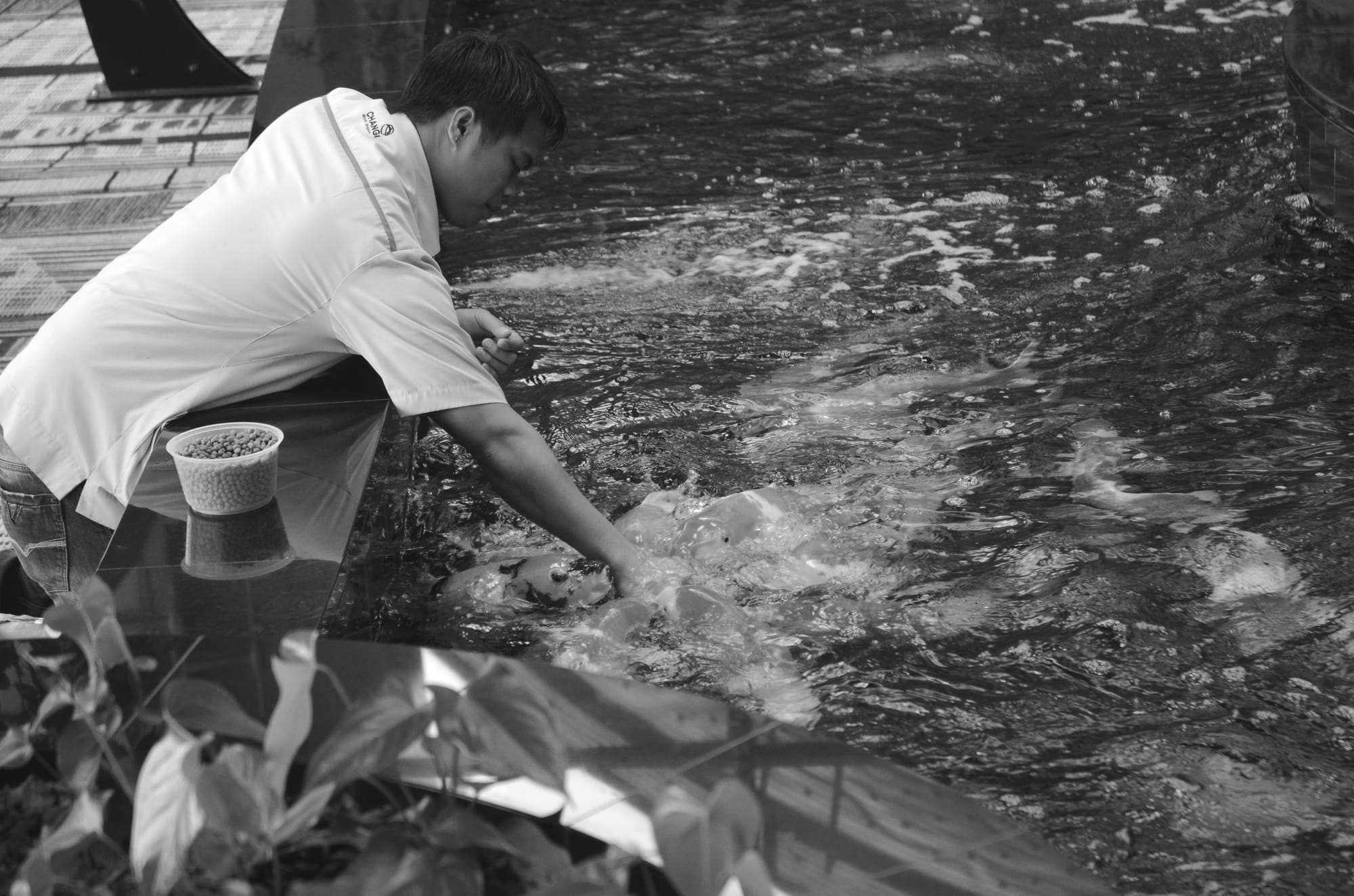 A good reason to always remain hopeful