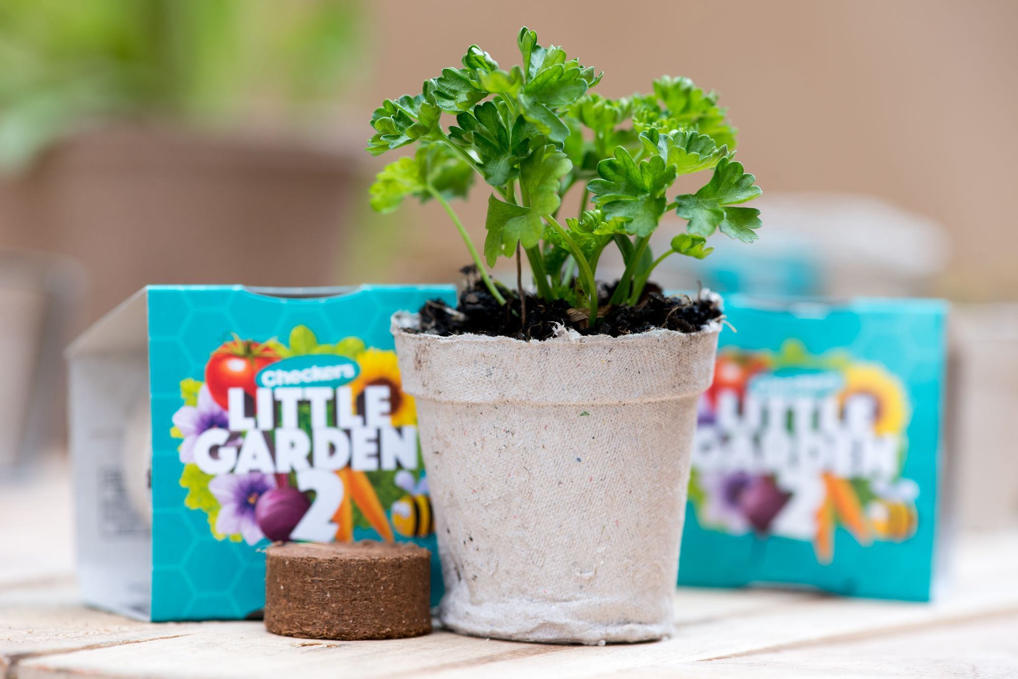 Little Garden is back at Checkers