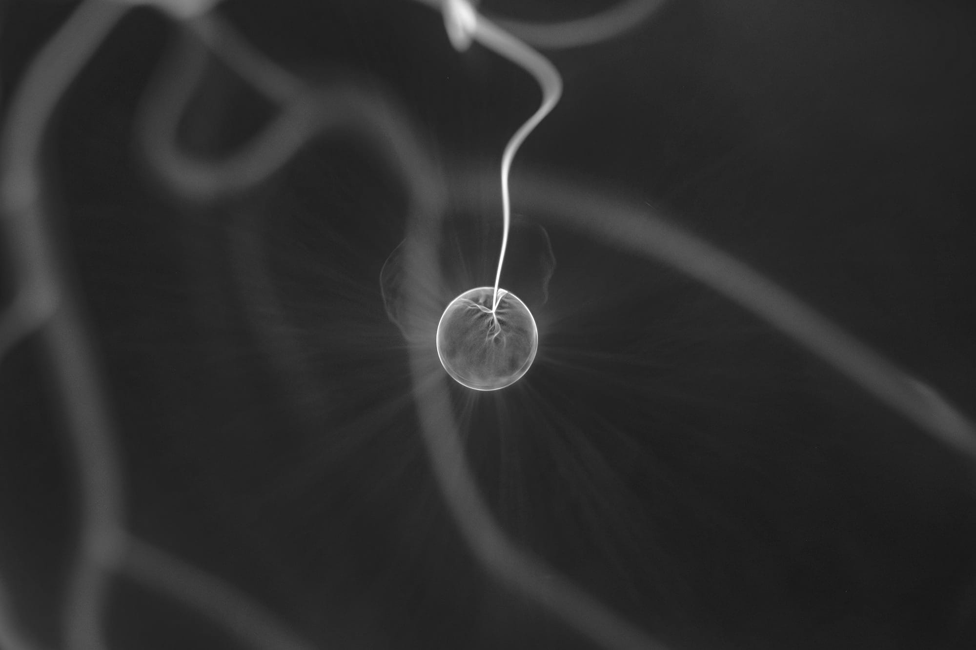 Getting to your brand kernel in 2024