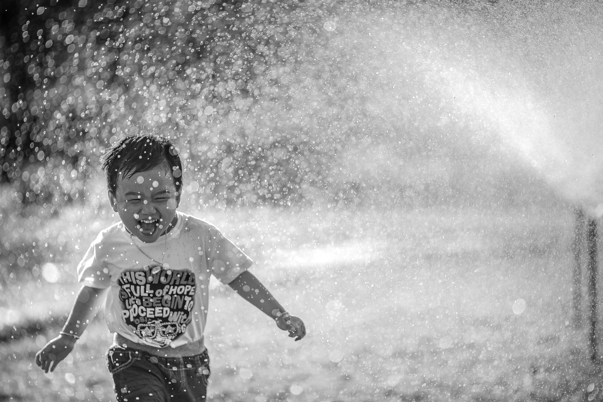 Our search for joy