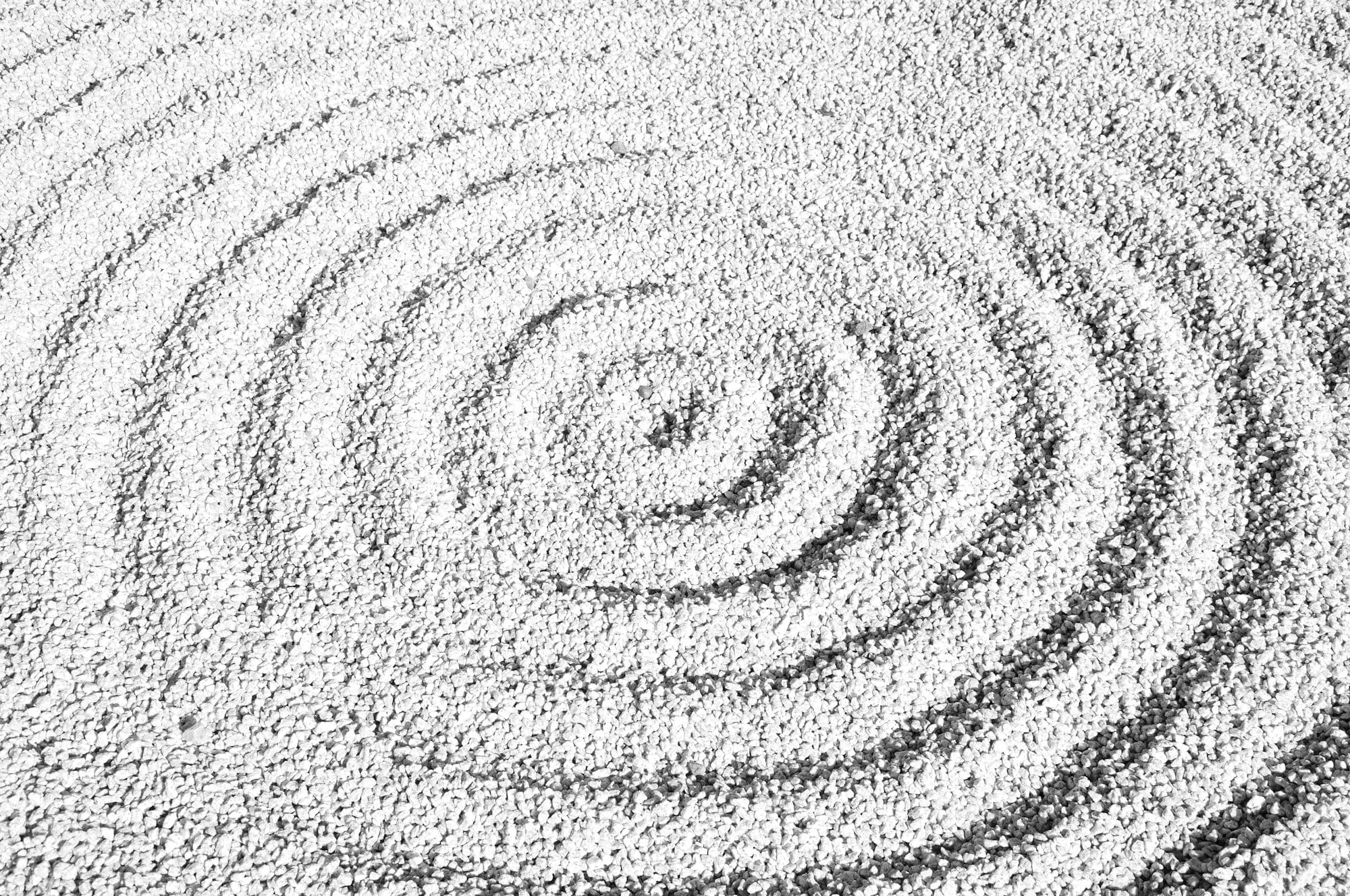 Join the Conscious Mind Summit 2025