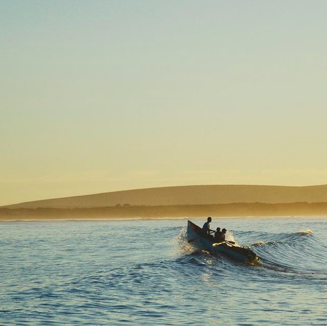 An innovative way to save crayfish ...and a community