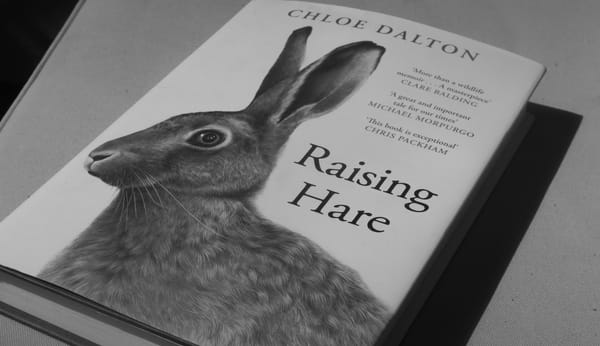 The Raising Hare philosophy