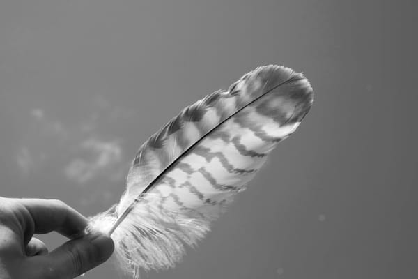 Holding the future lightly