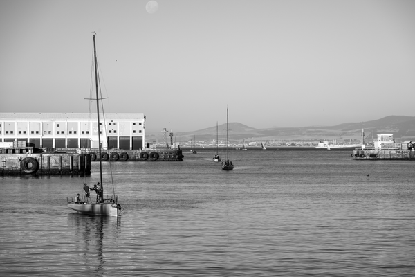 What does a futurist do?